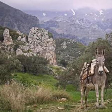 Traditional Cretan House Lithostrati Karidi Village 外观 照片