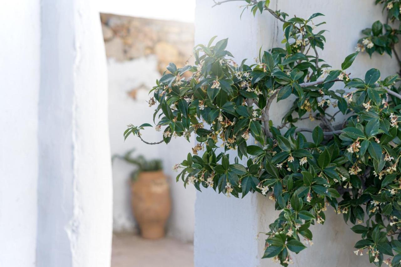 Traditional Cretan House Lithostrati Karidi Village 外观 照片