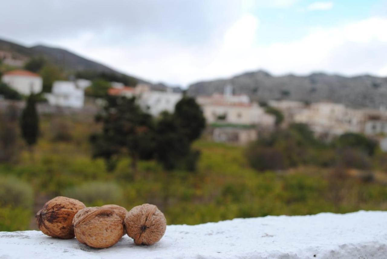 Traditional Cretan House Lithostrati Karidi Village 外观 照片